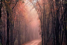 Kaiyun:超燃博人博洛尼亚6连胜意甲升第4+杯赛大胜,即将连打意甲前3.