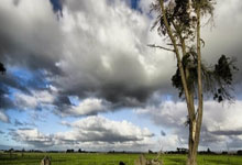 Kaiyun:图赫尔:不会为了俱乐部让国脚休息,南美球员为.