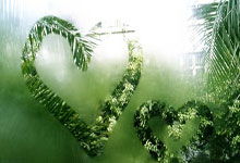 Kaiyun:突然不行了?输给德丙球队,勒沃库森深陷崩盘危机.